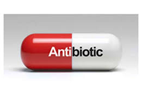 KHCA009 - Infection Control & Antibiotic Stewardship